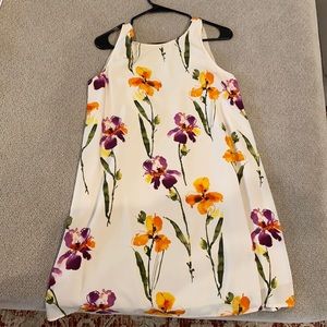 Collective Concepts Dress